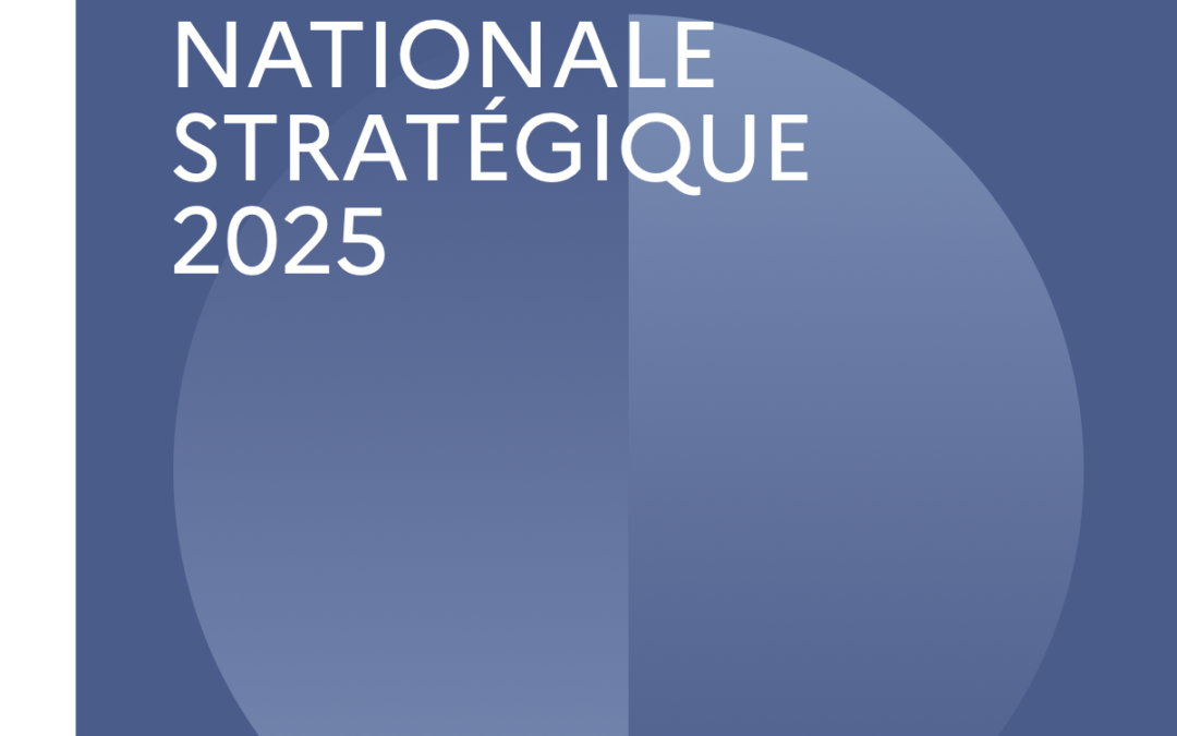 Revue nationale stratégique 2025 : s’adapter au contexte géopolitique